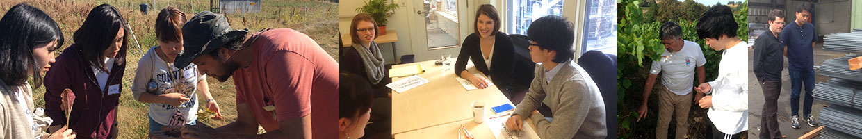 個人プログラム